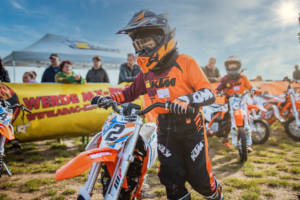 NX7A0278-Bearbeitet